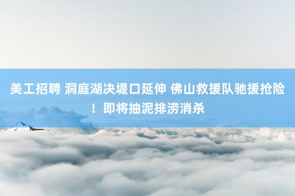 美工招聘 洞庭湖决堤口延伸 佛山救援队驰援抢险！即将抽泥排涝消杀