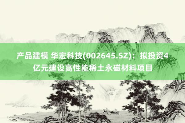 产品建模 华宏科技(002645.SZ)：拟投资4亿元建设高性能稀土永磁材料项目