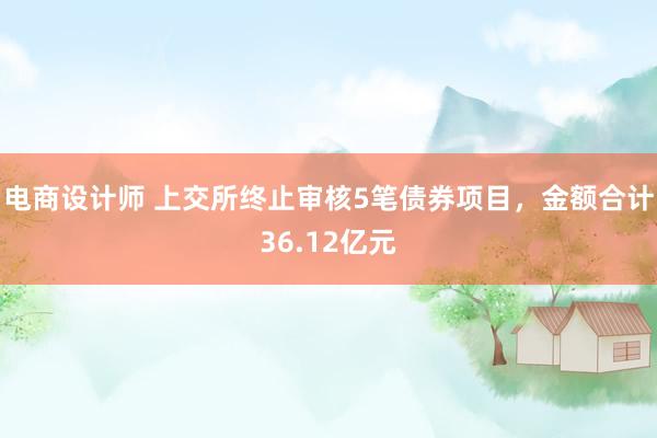 电商设计师 上交所终止审核5笔债券项目，金额合计36.12亿元