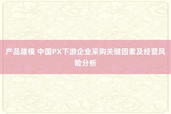 产品建模 中国PX下游企业采购关键因素及经营风险分析